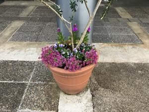 花壇