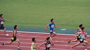 府4