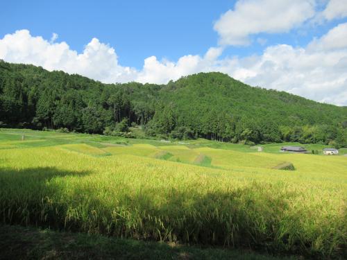宮前町神前
