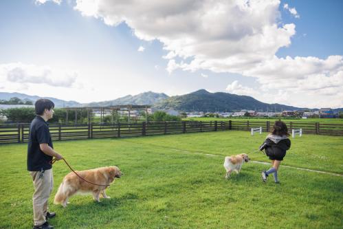 夢コスモス園のドッグラン