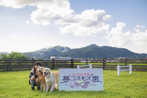 夢コスモス園の記念写真