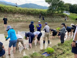 田植え