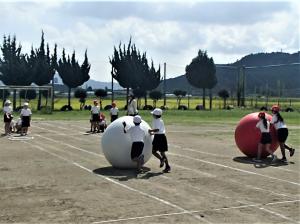 大玉転がし