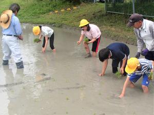 6田植え1