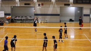 市新人4