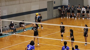 市新人4