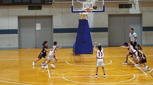 市新人6