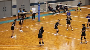 市新人10