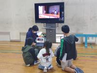 あおむし３