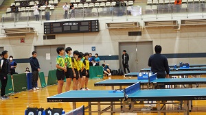 口新6