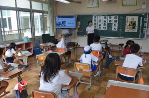 45年たんぽぽの様子