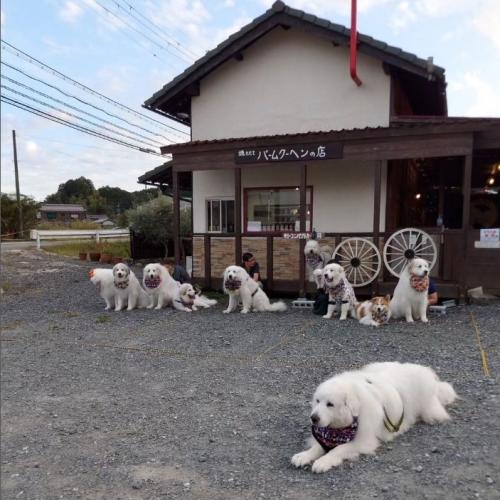 犬とカフェ外観