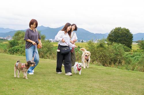 川沿いのお散歩風景