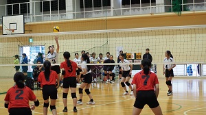 口新2