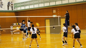 口新3