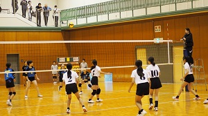 口新5