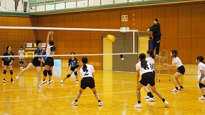 口新6