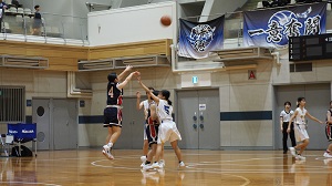 口新5