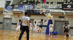 口新6