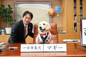 一日市長犬１