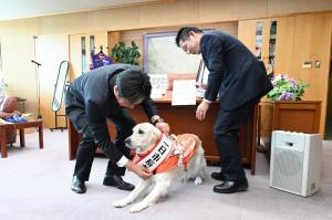 一日市長犬２