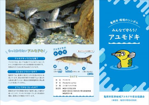 アユモドキパンフレット表面