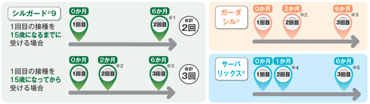 接種回数と標準的な接種間隔