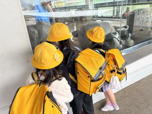 校外学習　水族館1