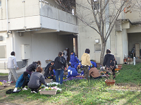 花1