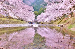 【佳作】水鏡と鏡
