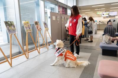 犬と見る写真展イメージ