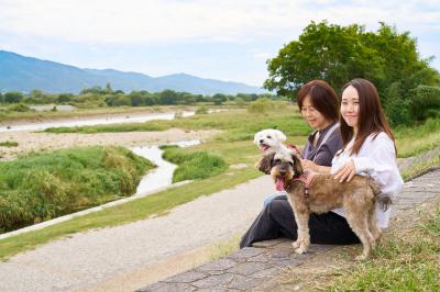保津川と犬