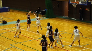 府2