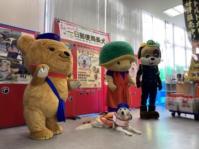 一日郵便局長犬