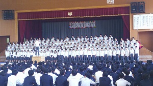 新歓2