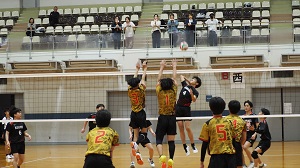 春3