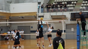春4