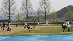 春6