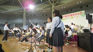 緑化3