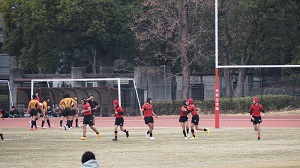 春5
