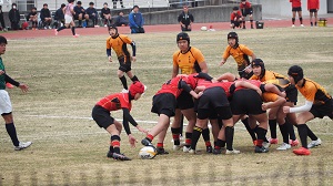 春6