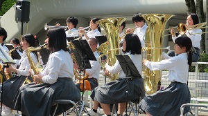 青1