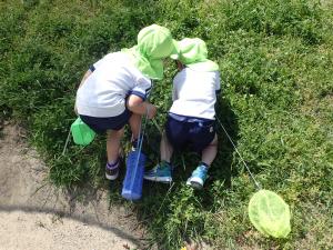 自然の中で遊ぶ園児の様子