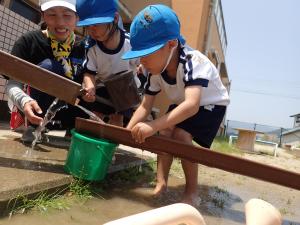 水遊びをする子どもの写真