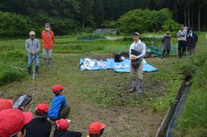 田植え1
