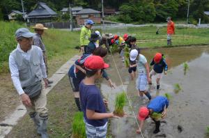 田植え3