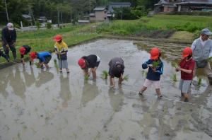 田植え9
