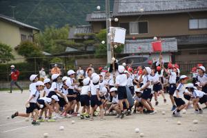 玉入れ