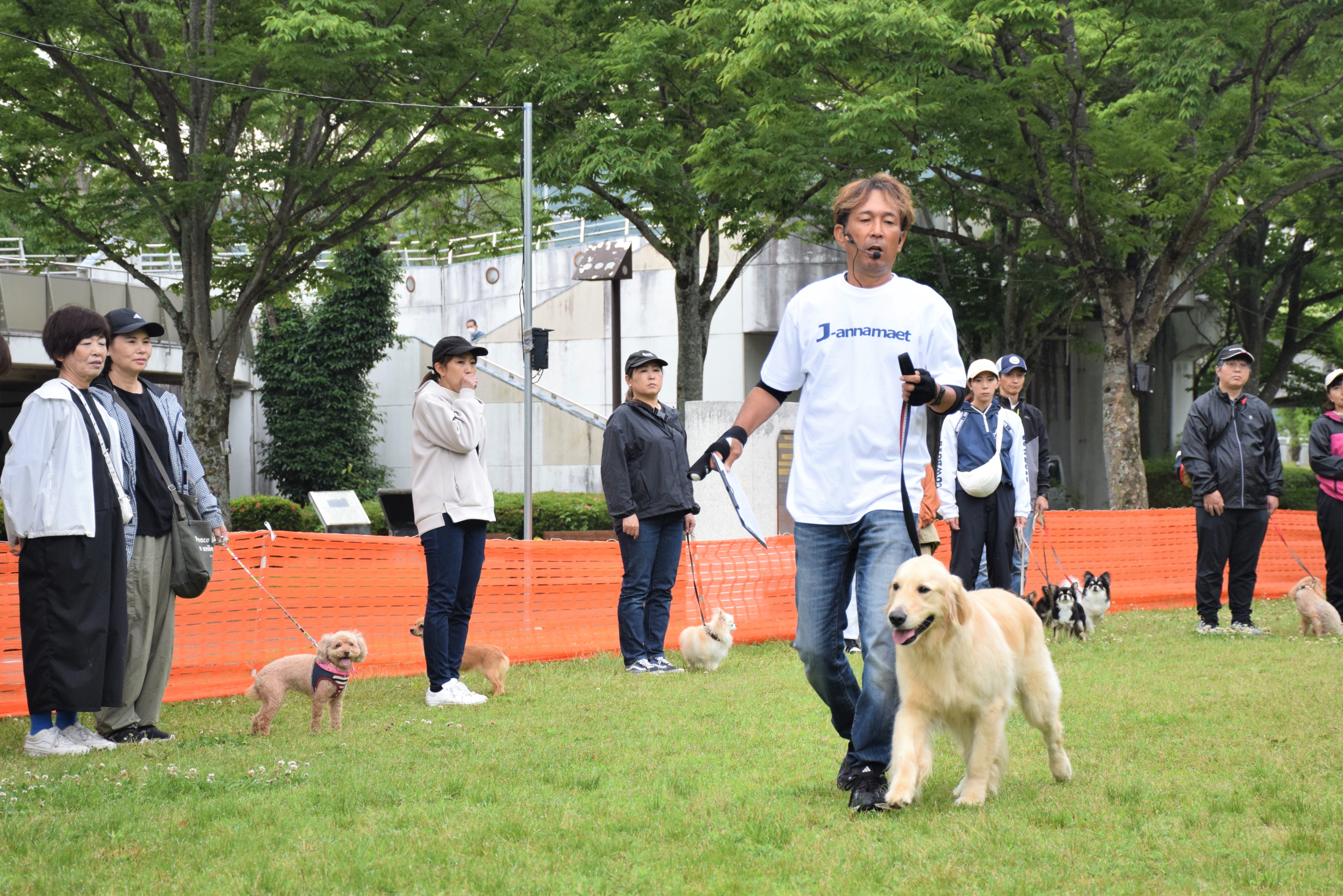 ラブラドルレトリバーと歩くトレーナー