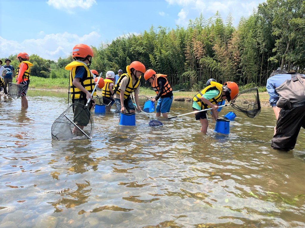 水辺で川の中を覗いている様子